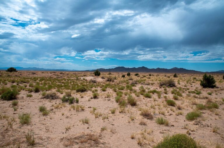 SOLD: Juab County Land image 1