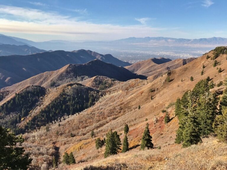 Red Butte Canyon Ranch image 1