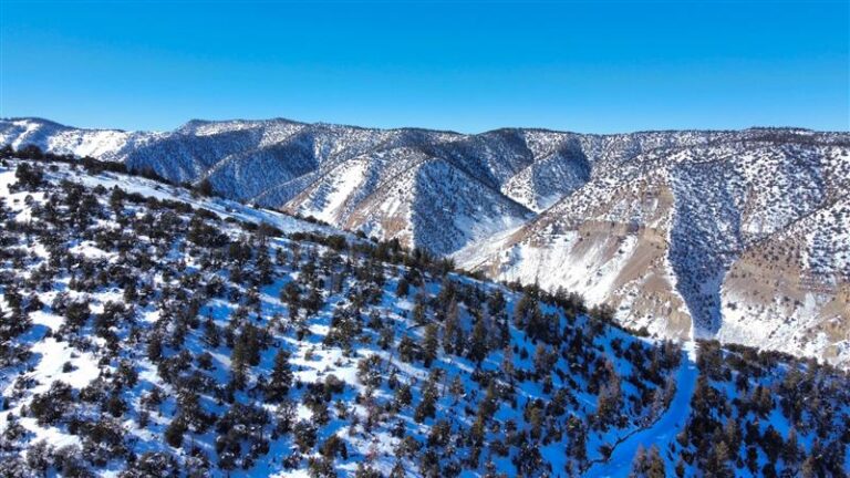 PRICE REDUCED: Indian Canyon Ranch image 1
