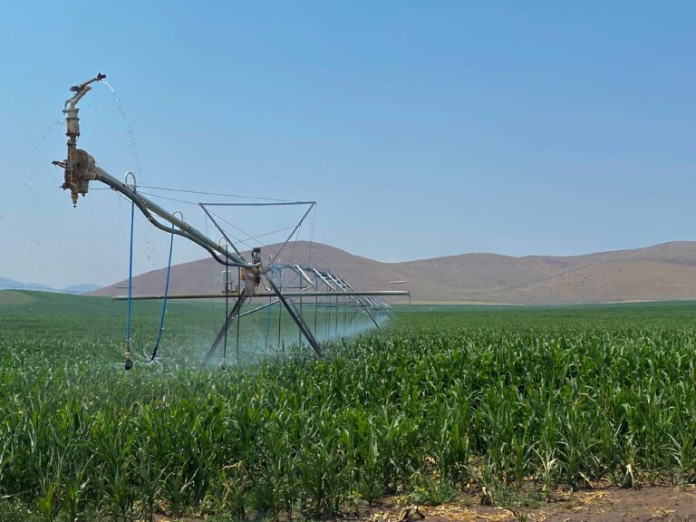 SOLD: TbarT Irrigated Farm image 1