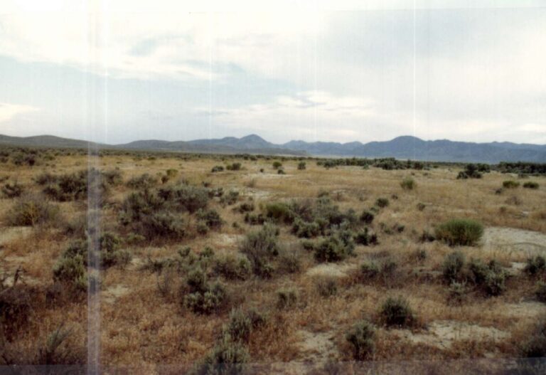 SOLD: Cedar Valley Land image 1