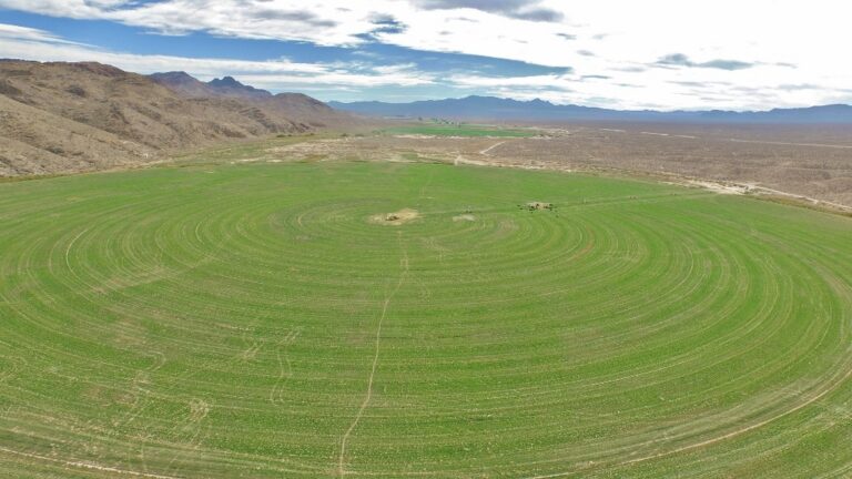 SOLD: Hiko Farm image 1