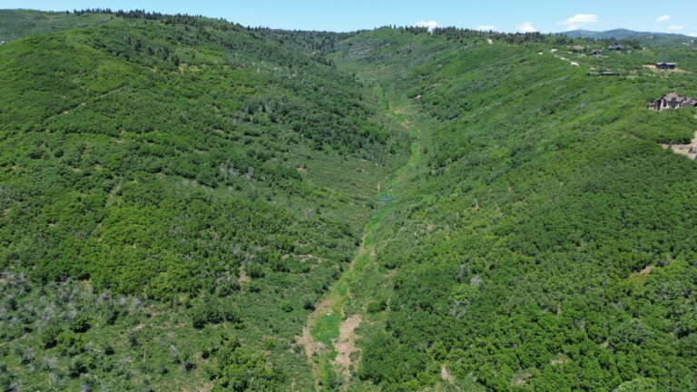 PRICE REDUCED: Silver Summit Residential Development Land image 1