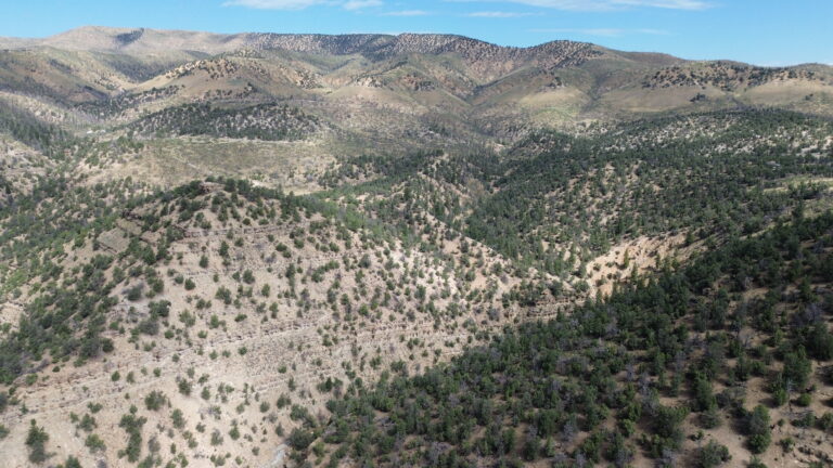PRICE REDUCED: Duchesne Mountain Land image 1