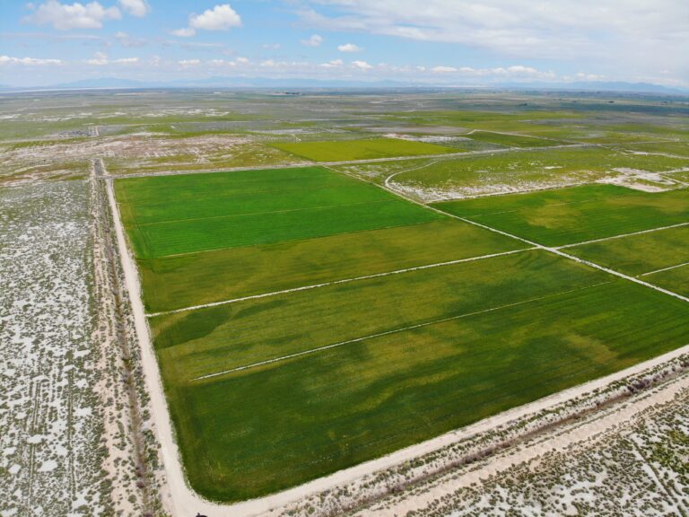 Hinckley Farm Land image 1