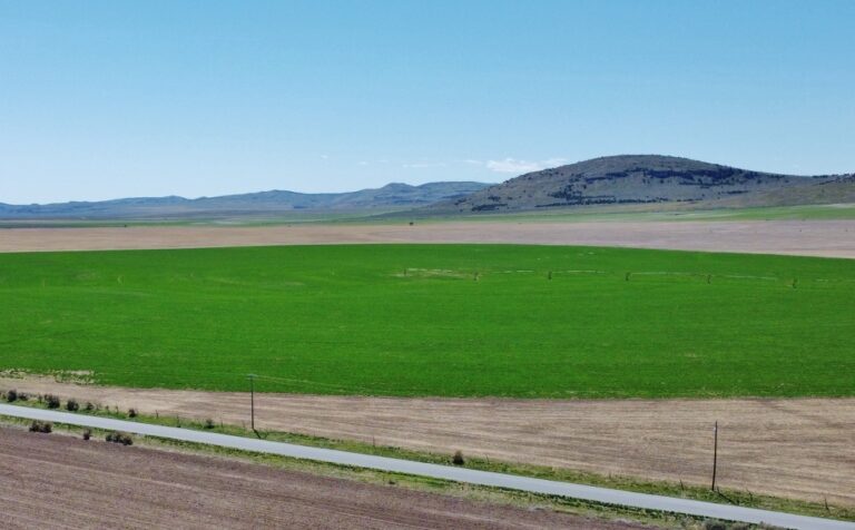 SOLD: Holbrook Farm image 1