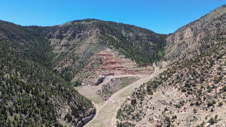 UNDER CONTRACT: Emery County Mountain Land image 1