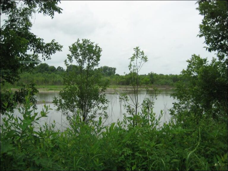 SOLD: Grand River Hunting Property image 1
