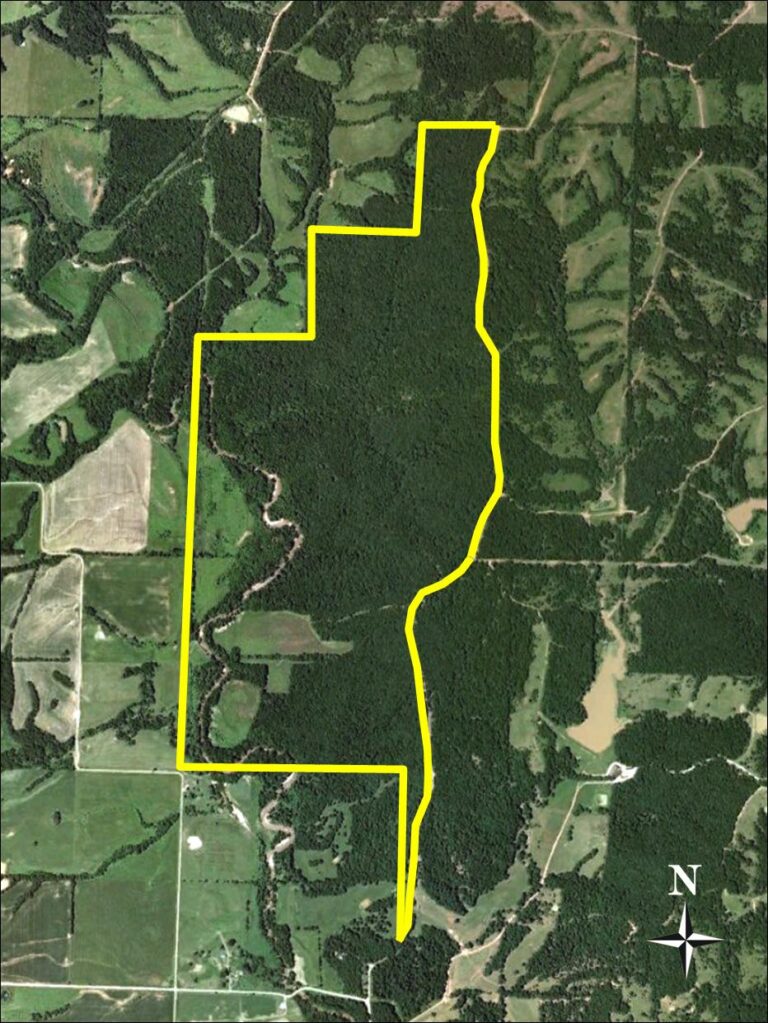 SOLD: Macon County Timber and Hunting Land image 1