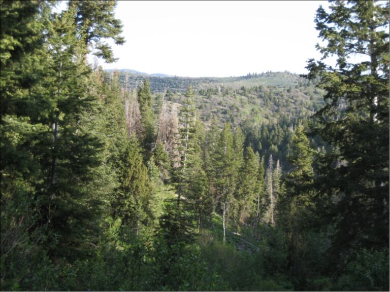 SOLD: Heartland West Ranch - West Parcel image 1