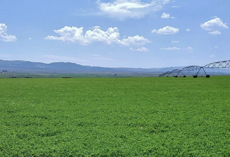 SOLD: Panguitch Irrigated Farm image 1