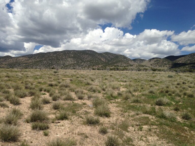 CLOSED: Tooele County Range Land image 1