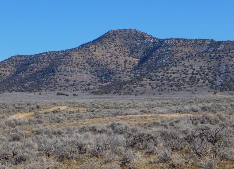 SOLD: Fivemile Pass Ranch Land image 1