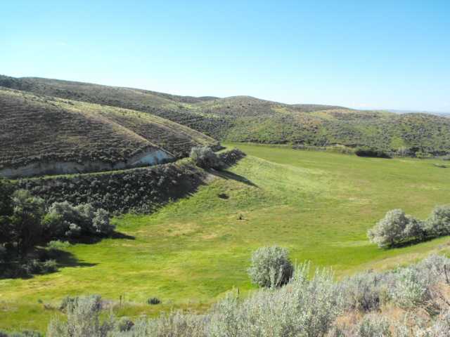 Mann Creek Ranch image 1