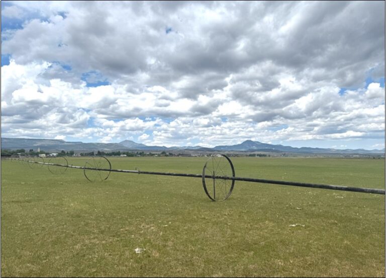 SOLD: Panguitch South Irrigated Farm image 1