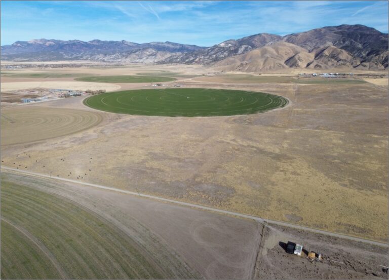 Levan Pasture Land image 1