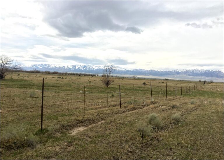 Erda Residential Development Land image 1