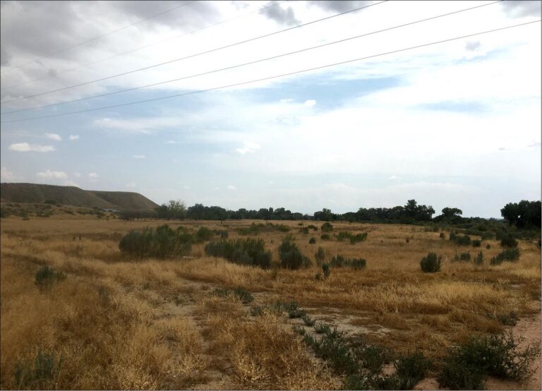 Vernal Avenue Land & Water image 1