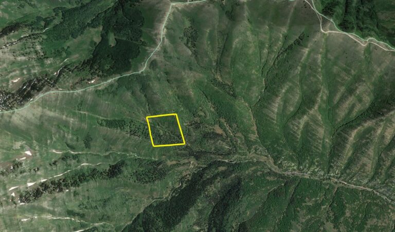 Oak Canyon Mountain Land image 1