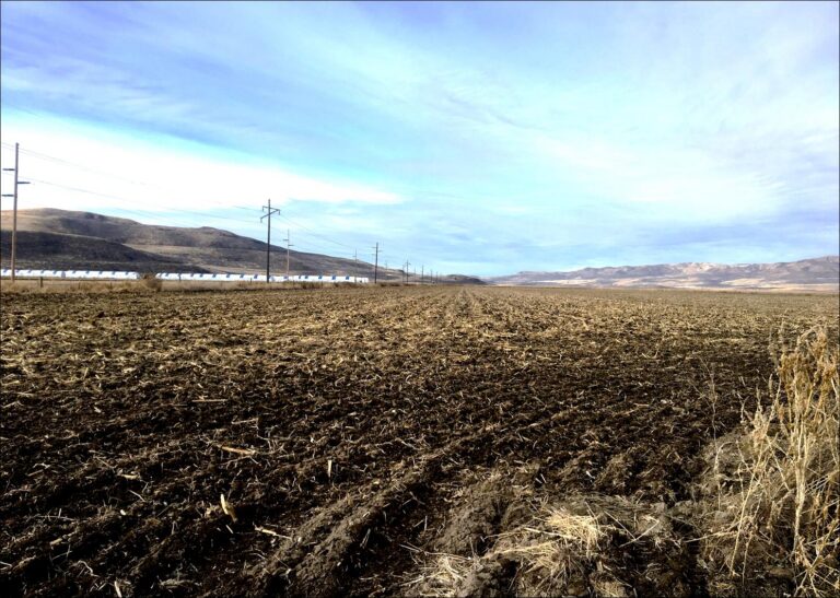 Bear River Farm & Ranch image 1