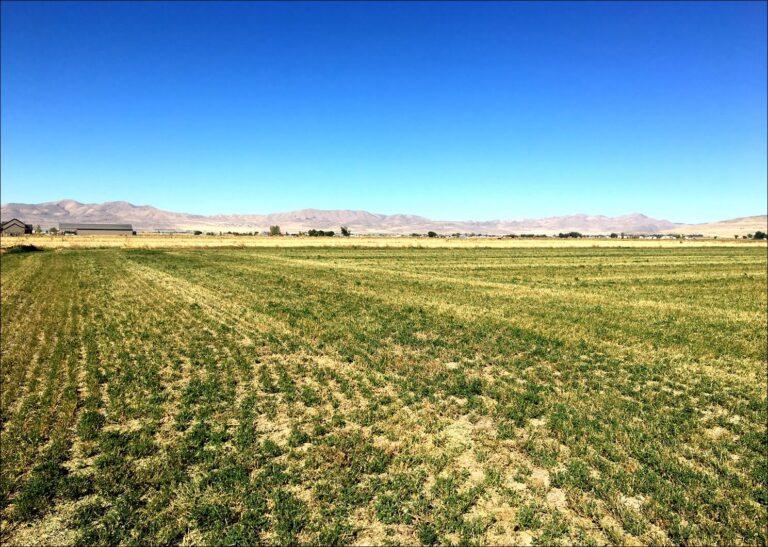 SOLD: Irrigated Box Elder County Farm image 1