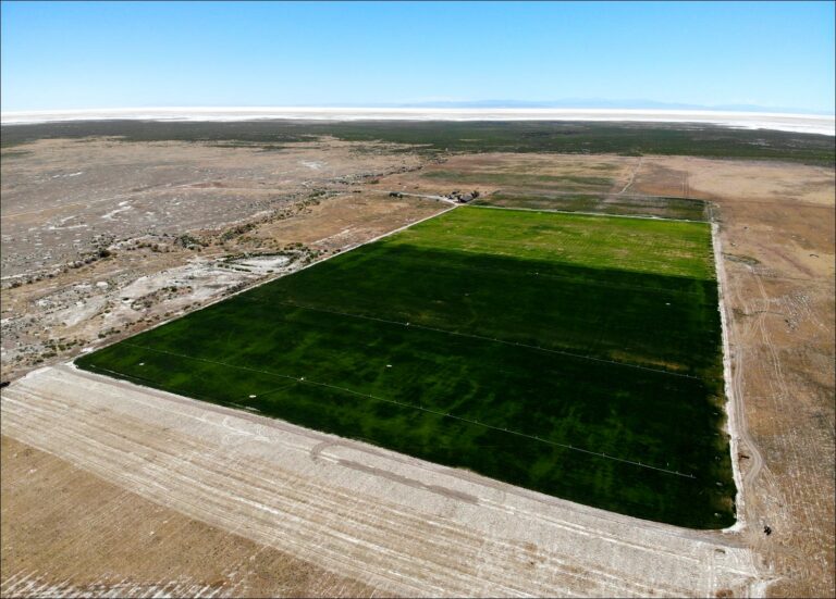 SOLD: PRICE REDUCED: Last Chance Ranch image 1