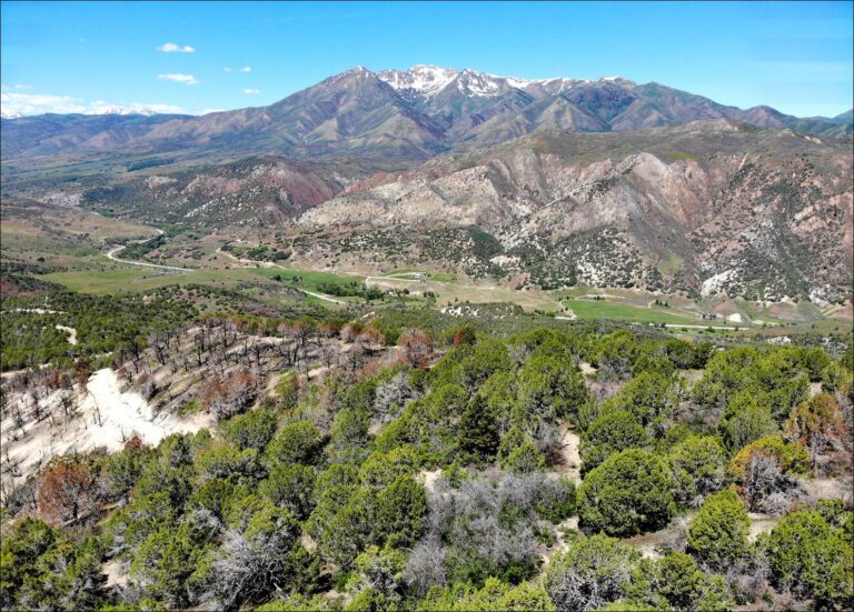 Wildcat Canyon Ranch image 1