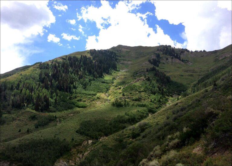 PRICE REDUCED: Middle Canyon Land image 1