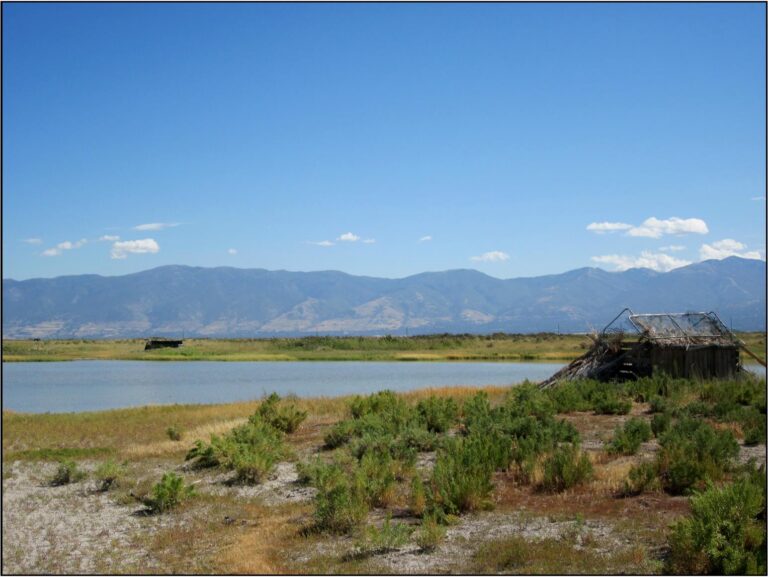 SOLD: S & J Duck Club image 1