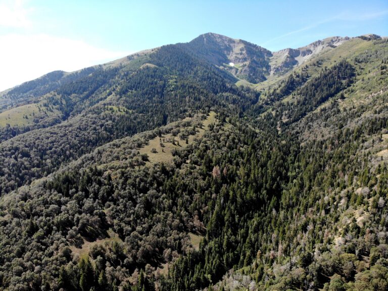 PRICE REDUCED: West Canyon Land image 1