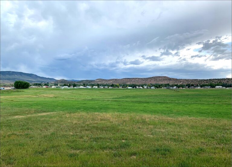 SOLD: Manila Farm & Improved Building Lot image 1