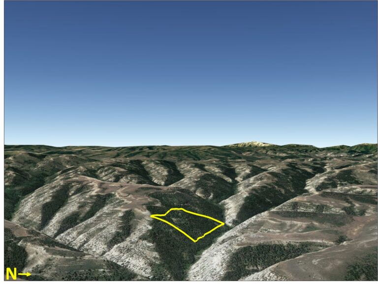 Soldier Summit Mountain Land image 1