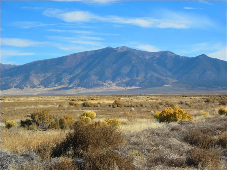SOLD: Rush Valley Range Land image 1