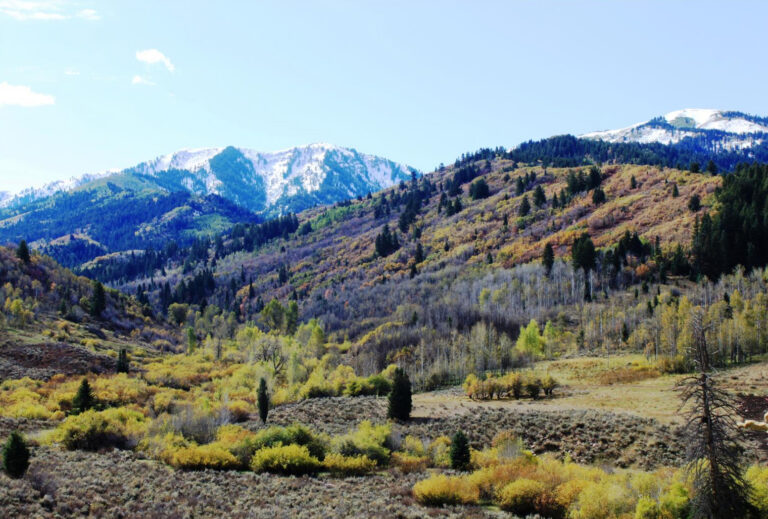 SOLD: Hardscrabble Ranch image 1