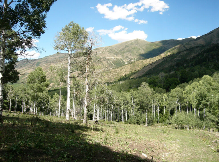 SOLD: Settlement Canyon--Oquirrh Mountains image 1
